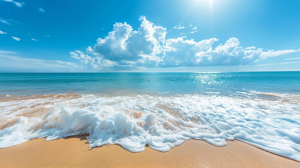 겨울에 떠나는 따뜻한 나라 찬  바람 피해, 어디로 도망가볼까?