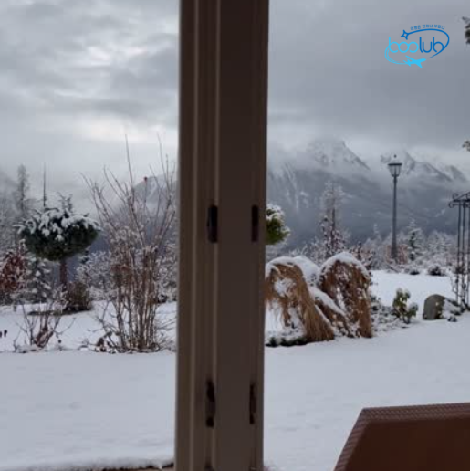 겨울 해외여행 Best  ❄️