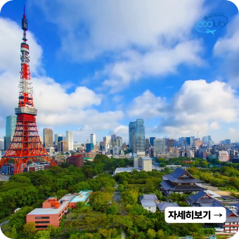 #핫플 #신상여행지 🚀