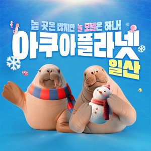 [일산] 아쿠아플라넷 입장권(2/1~2/28)