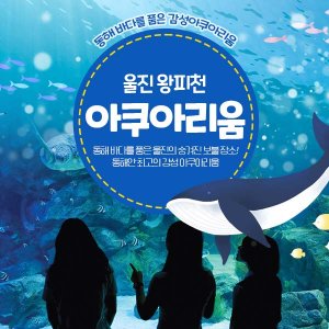 [경북]울진 왕피천 아쿠아리움