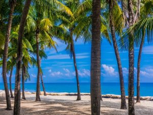 [다낭] 단독차량 호이안 안방비치 왕복 차량