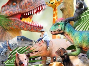 [제주] 포레스트공룡사파리