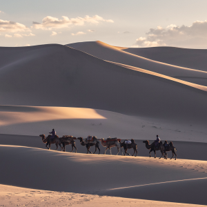 [몽골] 고비사막 시그니처 코스(5박6일)