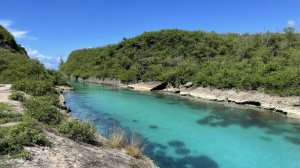 [괌] 럭셔리 돌핀 와칭 & 스노클링 투어 (린든 45호)