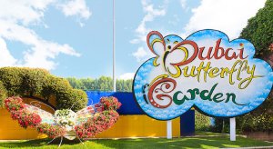 두바이 나비 정원 
