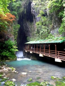 [야마구치] 야마구치현 아키요시 동굴 입장권