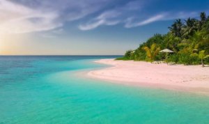 [코타키나발루] 디나완섬 호핑투어 (스노클링 & 섬투어 & 카약 & 점심식사 & 픽업드랍)