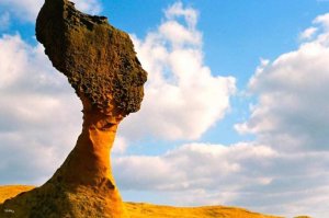 [타이페이] 펀패스 3일권