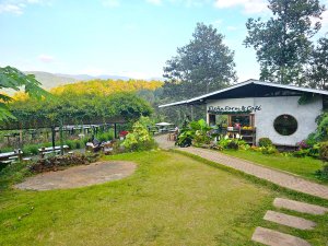 (한국어가이드) 치앙마이 반캉왓 + 엘리핀 팜 단독 투어