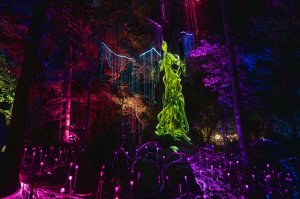 드림 포레스트 랑카위 입장권