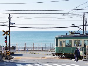 [도쿄] 출발 하코네 가마쿠라를 한번에, 1일버스투어 6명출확