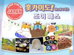 [훗카이도]홋카이도 조이 패스