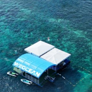 [세부]  정어리떼 스노클링