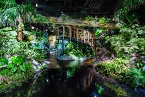 [오키나와]  오키나와 DMM 카리유시 수족관 