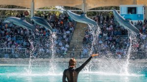  씨월드 골드코스트