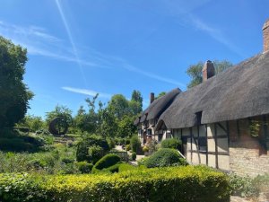 (1명예약가능/가장 영국스러운) 스트랫포드 & 코츠월드 가이드 투어 (런던 출발)