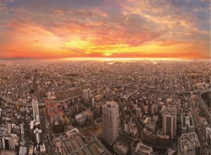 [오사카] 하루카스 300 전망대 입장권