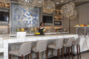 플라자 프리미엄 라운지 - 댈러스 포트워스 국제공항 터미널 E