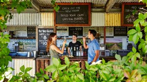 스완벨리 크루즈 종일 투어 + 스완밸리 와인 & 초콜릿 시음