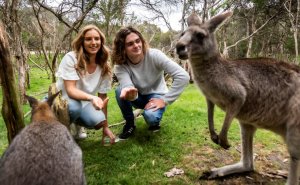 문릿 생츄어리 야생동물 보호 공원 입장권