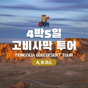 [몽골]4박5일 고비사막 투어