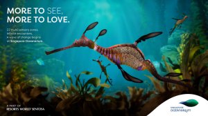 싱가포르 오셔나리움(해양수족관) 인사이더 익스피리언스 티켓