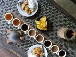 발리 커피 농장 + 우붓 데이투어