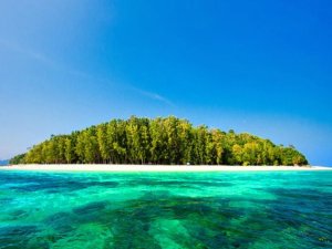 [푸켓] 피피섬 - 마야 & 대나무섬 (크리스탈 씨마린)