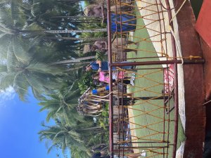 [보홀]보홀데이투어(로복강+ 타르시어+나비농장+초콜릿힐 등)