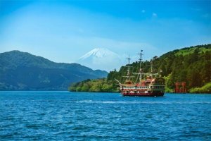 (한국어 가이드) 후지산 포토 스팟 일일 버스 투어 D코스