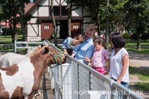 [홋카이도]홋카이도 노던 호스파크 입장권