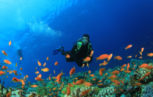 [세부 액티비티 & 데이투어] 스킨 스쿠버 다이빙 - 체험다이빙 (교육+강습+실습/체험+수중 촬영)