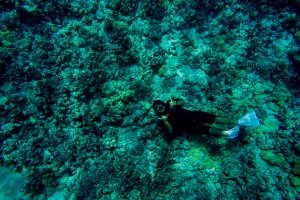 바디 글러브 보트의 코나 슈퍼 래프팅 투어