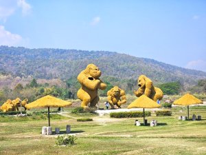 (한국어가이드) 치앙마이 몬쨈 + 후웨이퉁타오 호수 단독 투어