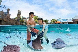 [싱가포르] 센토사 어드벤처 코브 워터파크