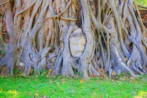 아유타야 반일 단독 투어 / 방콕 출발