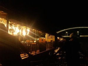 [보홀] 로아이강 반딧불이 반딧불 투어 픽드랍 포함