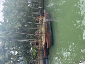 [단독투어] 보홀 라스트데이 시티투어 (로복강선상런치,초콜릿힐,마사지,공항드랍)