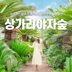 [제주] 상가리야자숲 입장권