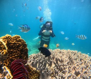 [나트랑]나트랑 펀다이빙 호핑투어 