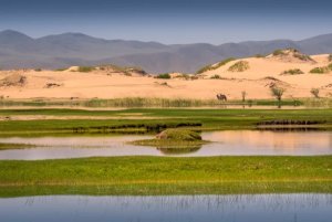 [몽골] 중부 투어 3박 4일