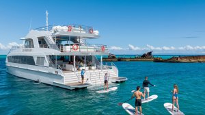 탕갈루마 난파선 & 돌고래 크루즈 [ 브리즈번 /골드코스트 출발]