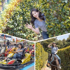 [제주] 팰롱팰롱 빛나는