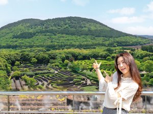 [제주] 메이즈랜드