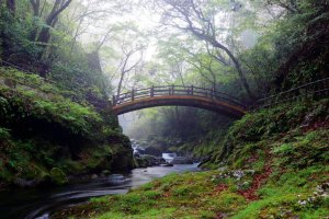 [한국어가이드] 후쿠오카 출발: 구마모토 & 미야자키 일일 버스 투어