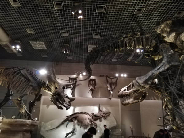 [도쿄]우에노 일본국립과학박물관(지구관) 키즈도슨트