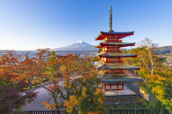 (한국어가이드) 도쿄 후지산 핵심코스 1일 버스투어