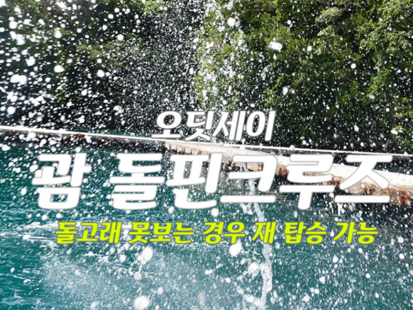 [괌]오딧세이 돌핀 크루즈 돌고래 왓칭 돌고래 못보면 여행기간동안 재탑승 가능