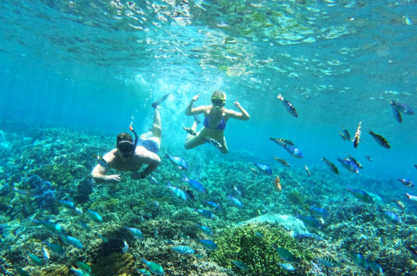 (한국어가이드) 발리 누사페니다 섬 스노클링 투어